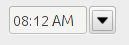 A screenshot of time
          selector
